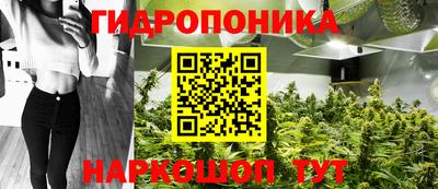 индика Кумертау