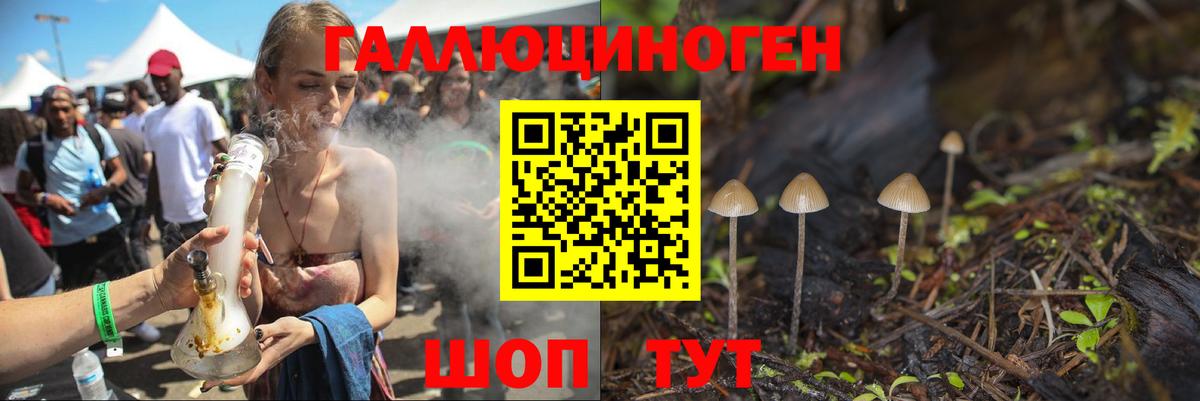 Галлюциногенные грибы Psilocybe Урус-Мартан