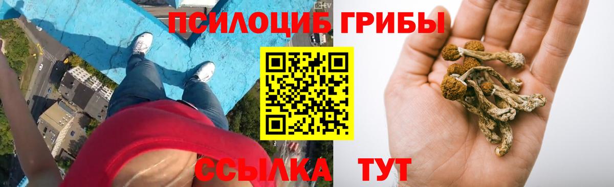 Псилоцибиновые грибы Psilocybine cubensis  Вход с VPN  Псилоцибиновые грибы GOLDEN TEACHER  Урус-Мартан 